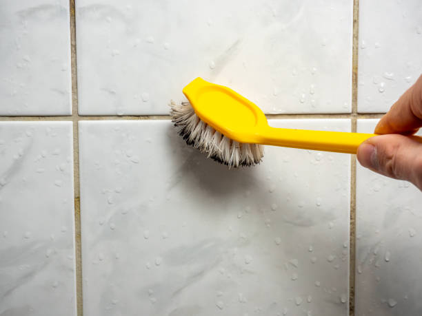 Best Mold Damage Repair  in Lincoln Heights, OH