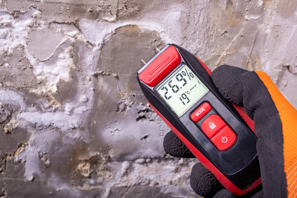 Best Mold Removal Company Near Me  in Lincoln Heights, OH