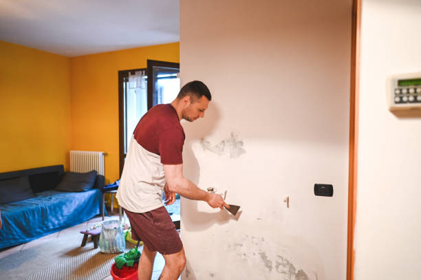 Best Attic Mold Removal  in Lincoln Heights, OH
