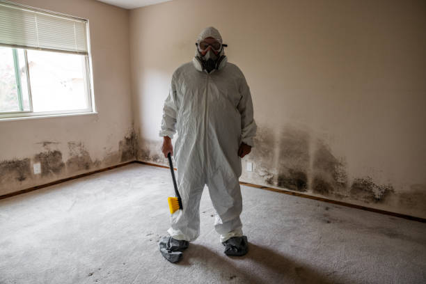 Mold Testing and Removal in Lincoln Heights, OH