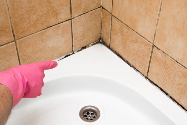 Best Crawl Space Mold Removal  in Lincoln Heights, OH